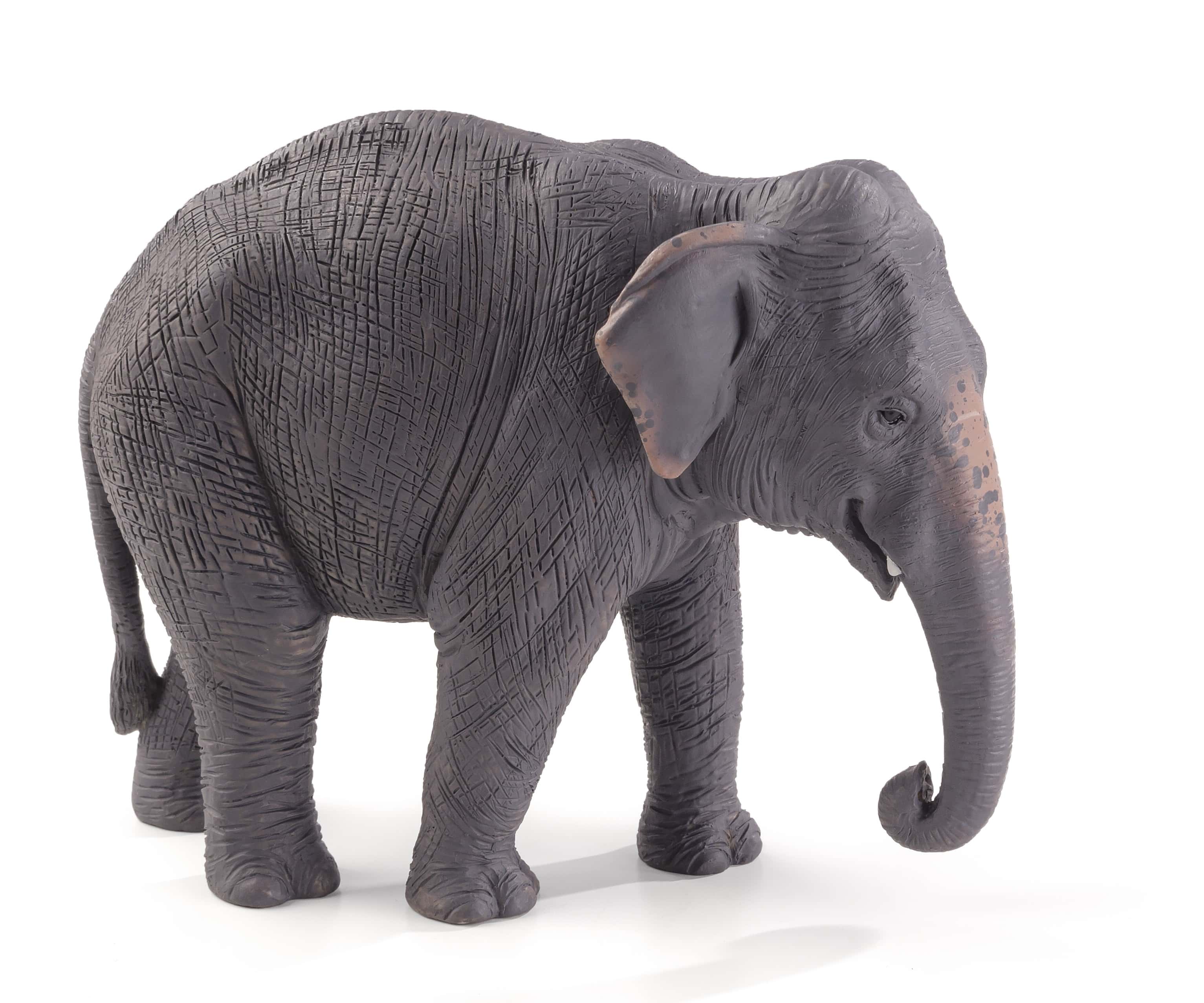 387266 Wildlife Besttoy Spielfigur asiatischer - - Elefant